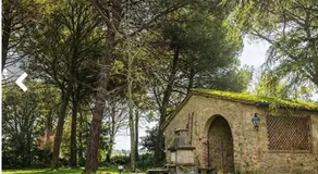 La locanda delle pulci - Image 4