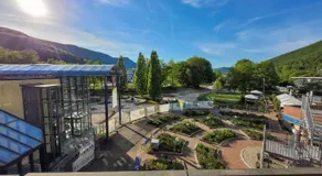 Helles Zimmer mit Balkon und Blick in den Kurpark - Image 4