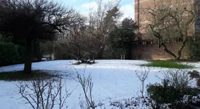 Un grand jardin en ville. Chez Guy - Image 3