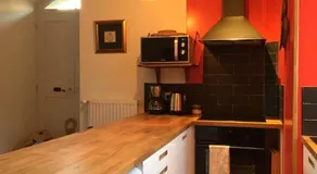 Papilio - Image 3