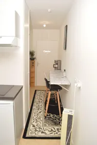 Professional Studio Appartment - Image 4