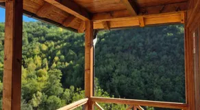 Serbina - Image 3