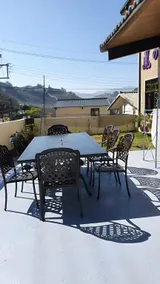 Phoenix Vine - Image 4