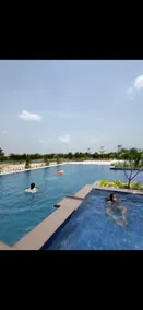 Chawla s farm - Image 4