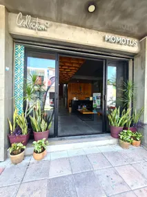 Hotel Momotus Tuxtla, en el centro - Acceso autónomo - Image 5
