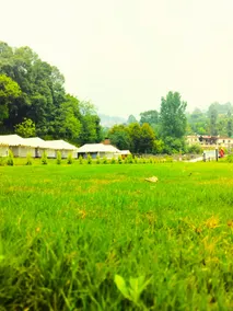 Bhimtal Wilderness - Image 3