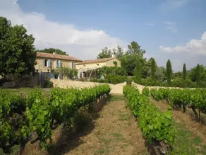 Mansion in Vaison-la-Romaine with Private Pool - Image 3