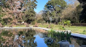 La Belle Eco - Image 5