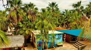 Baja Joe's Hotel - Image 4