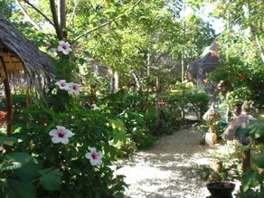 Bantayan Island Nature Park & Resort - Image 3