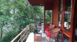 Coconut Garden - Image 4