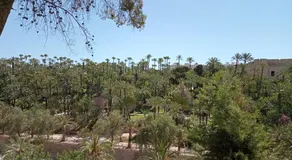 B&B Sensaltro - Image 3