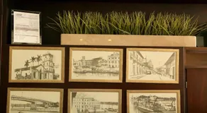 Hotel Plaza - Image 5