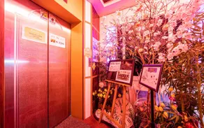 Sanbon W - Image 3