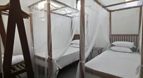 Asoka's Place - Image 2