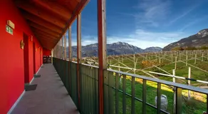 8 Grappoli Agritur - Image 5
