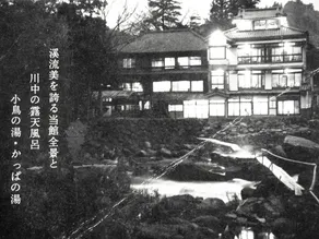 Yumotokan (Yugashima) - Image 2