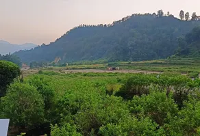 Wild Retreat Yamkeshwar (unit of GMVN) - Image 3