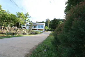 Greenery Hill - Image 2
