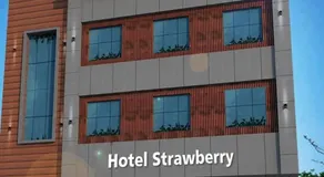 Hotel Strawberry - Image 3