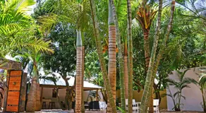 La Margarita - Image 5