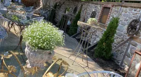 Boutique Hotel Schulz Classic - Image 5