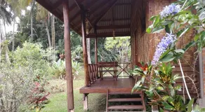 Ban Ban Bangalow - Image 3