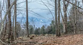 Mountainside Resort III - Image 5