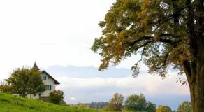 Studio im Bauernhaus 4 Pers - Image 5