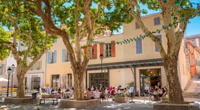 SOUS LES PLATANES - Image 4