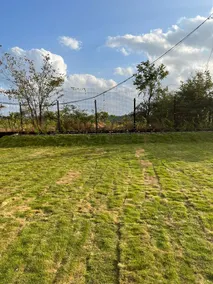Farmstay to Relax and unwind with a big lawn - Image 4