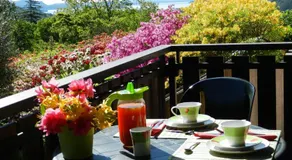 B&B Il Picchio - Image 5