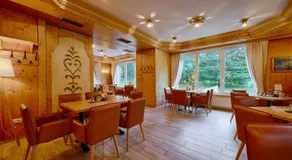 Hotel und Berggasthof Tanzbuche - Image 4