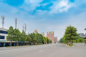Ruibang Moli Hotel (Emeishan High-speed Railway Station) - Image 5