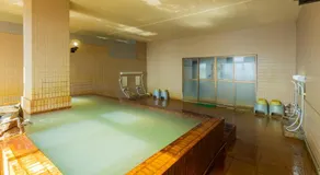 Sakurajima Seaside Hotel - Image 4