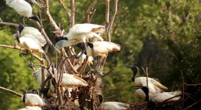 Wasgamu Safari Lodge - Image 5
