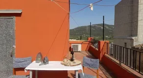 can tica - Image 3