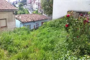 La Casa de Antón - Image 2
