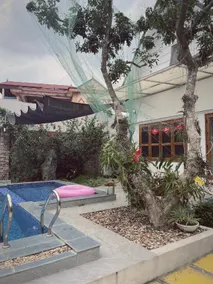 Dau's Home - Image 3