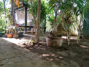 Koi Gili Guest House - Image 5