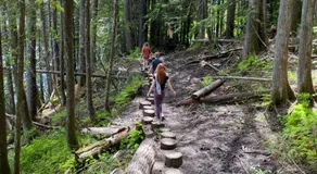 Revelstoke RV & Cabin Resort - Image 5