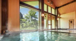 AZUMINO KOGEN Resort - Image 2