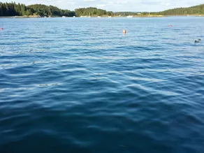9 person holiday home in NESØYA-By Traum - Image 2
