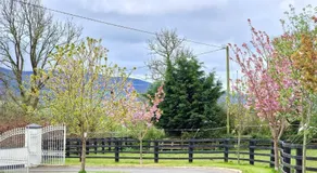 Silvi's Guest House B & B Borris Carlow - Image 5