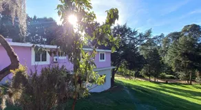 Hotel Bosques - Image 4