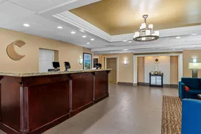 Comfort Inn & Suites Staunton - Image 3
