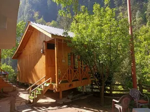 Tree house ghiyagi - Image 5