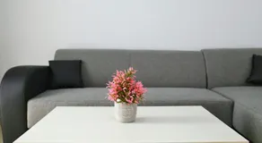 Casa Margo - Image 5