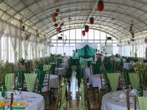 Island Tropic Hotel and Restaurant - Image 5