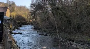 The Old Tredegar - Image 3